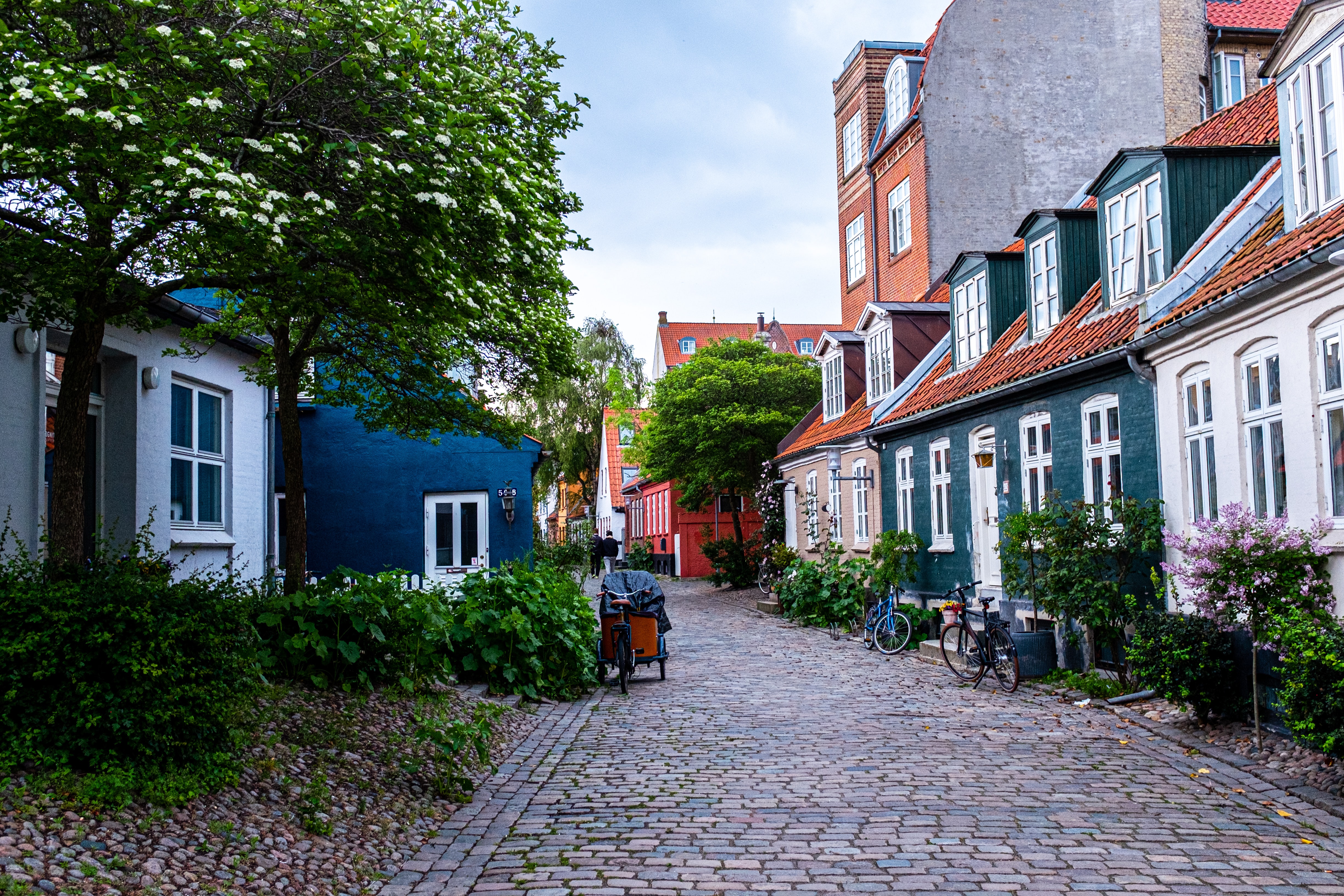 Steffen Muldbjerg Smmve8xph90 Unsplash