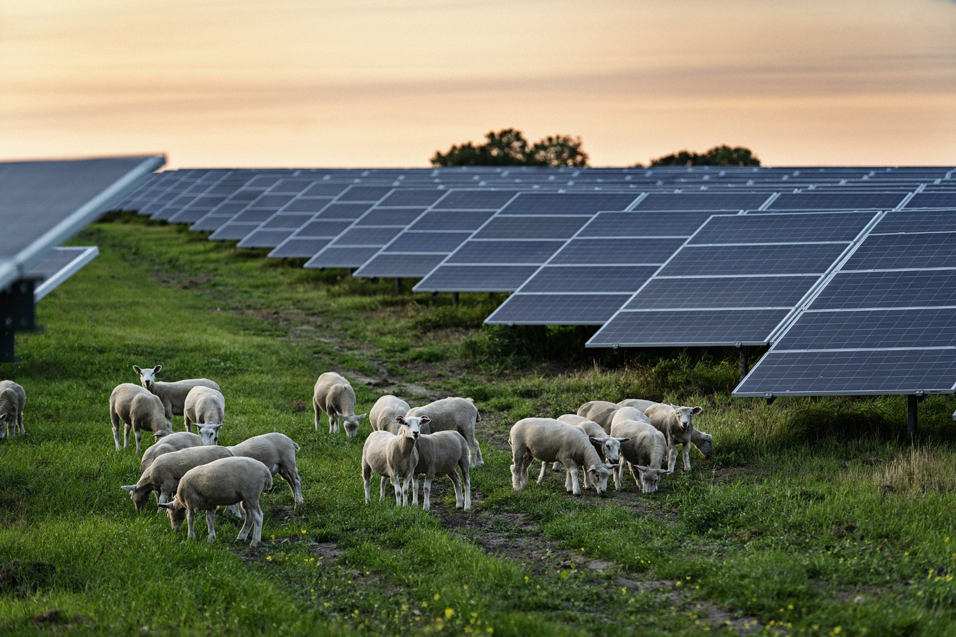 3Bd62ee4 6E2b 4Af2 A8cc 8Ea9d827206a